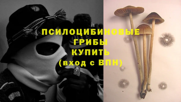 прущие крисы Карпинск