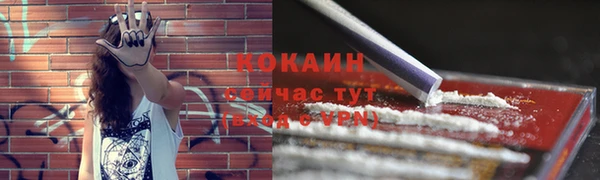 прущие крисы Карпинск